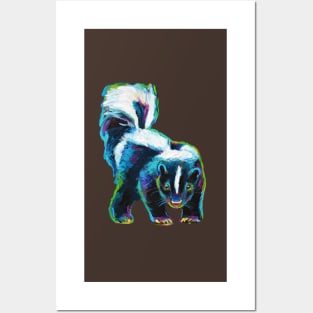 Skunk by Robert Phelps Posters and Art